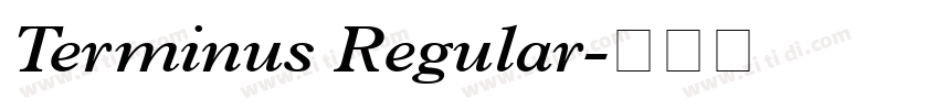 Terminus Regular字体转换